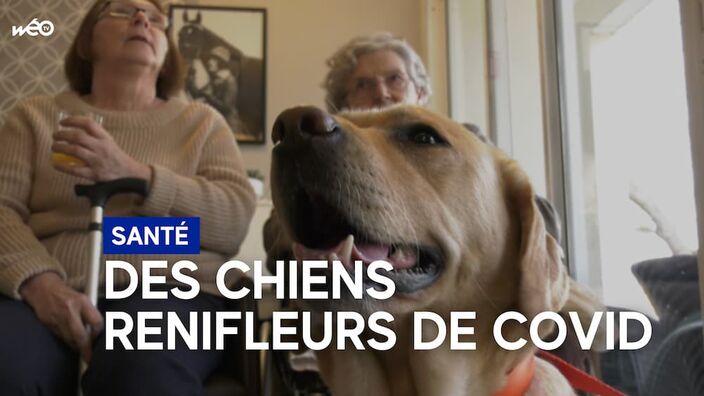 Des chiens détecteurs de maladies dans un EHPAD de l'Oise